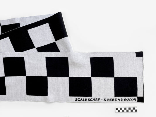 Scale Scarf
