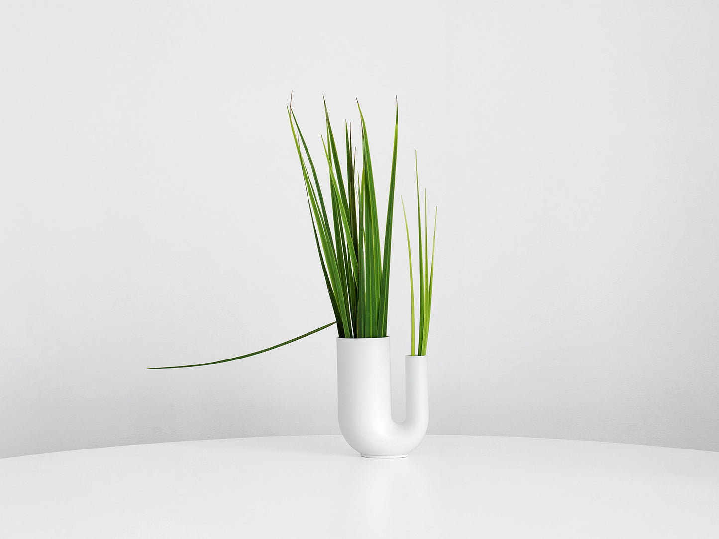 Tuba vase (S)