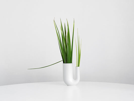 Tuba vase (S)